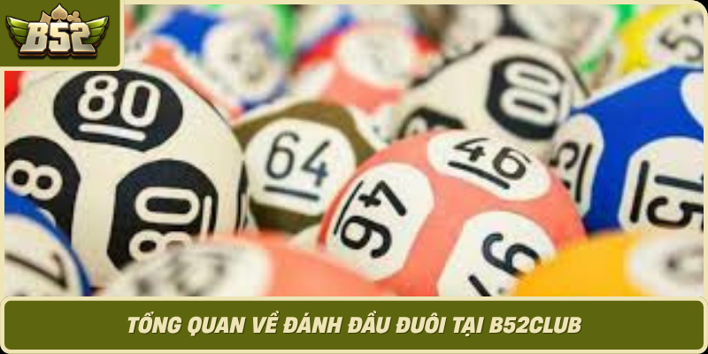 Tong Quan Ve Danh Dau Duoi Tai B52Club